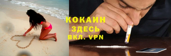 прущие грибы Алексеевка