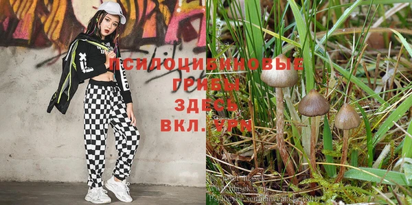 эйфоретик Алзамай