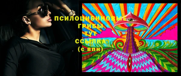 прущие грибы Алексеевка