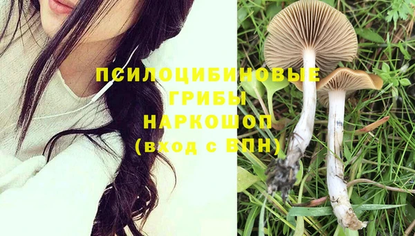 эйфоретик Алзамай