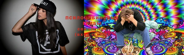 а пвп мука Алексин