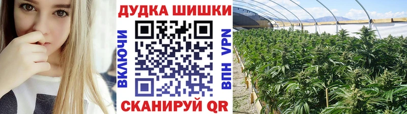 МАРИХУАНА сатива  хочу   даркнет наркотические препараты  Железногорск-Илимский 